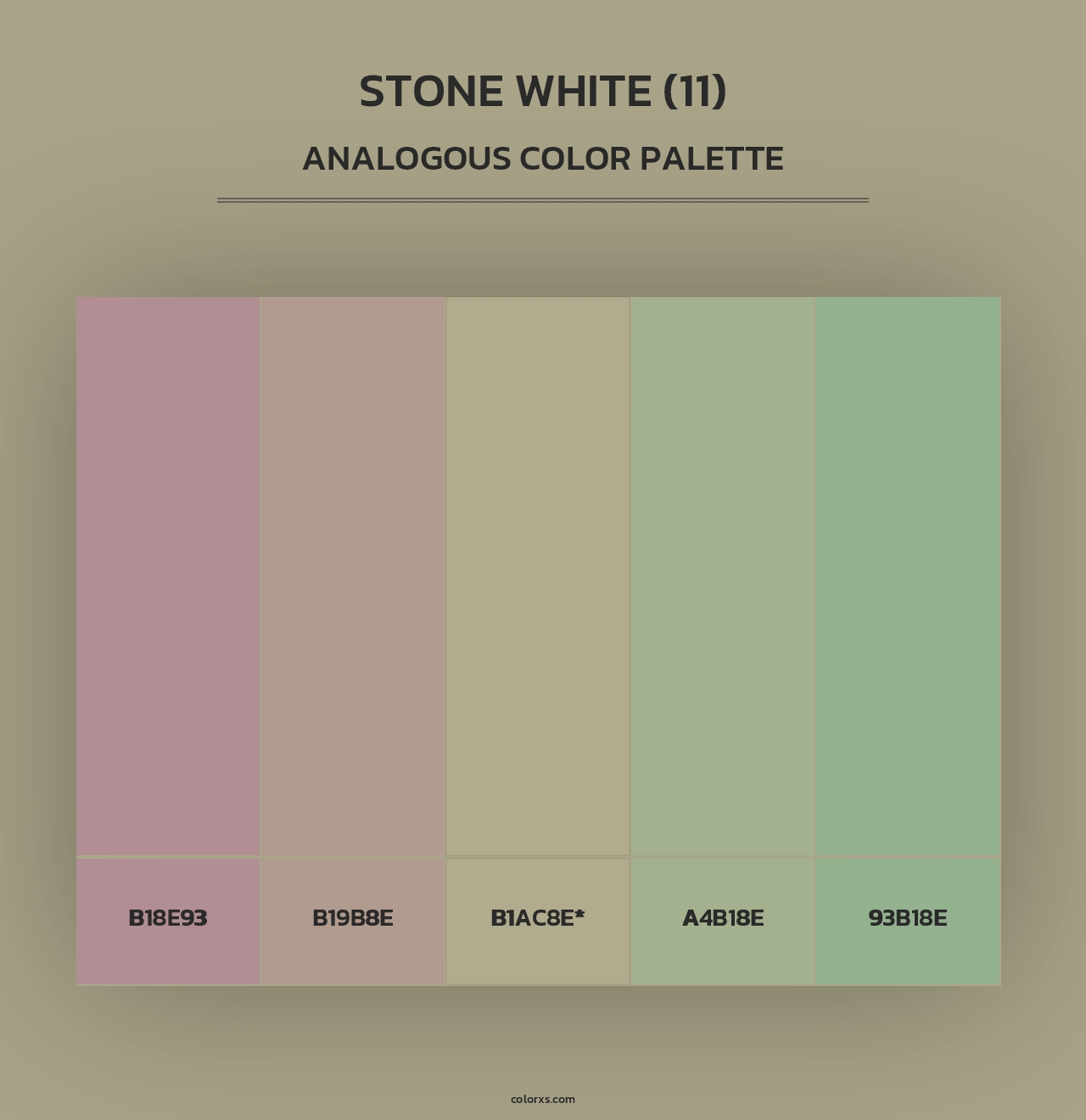 Stone White (11) - Analogous Color Palette