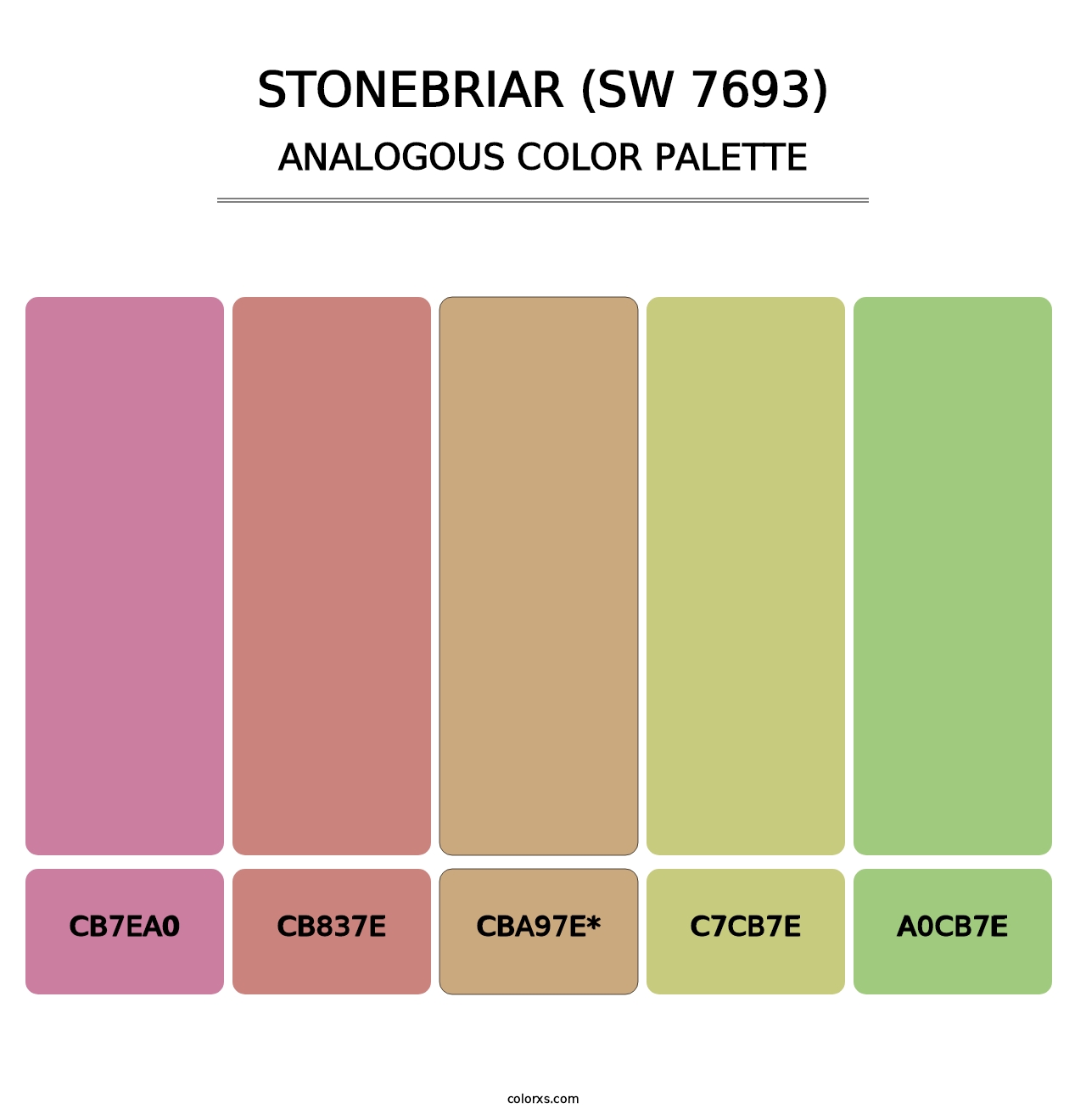Stonebriar (SW 7693) - Analogous Color Palette