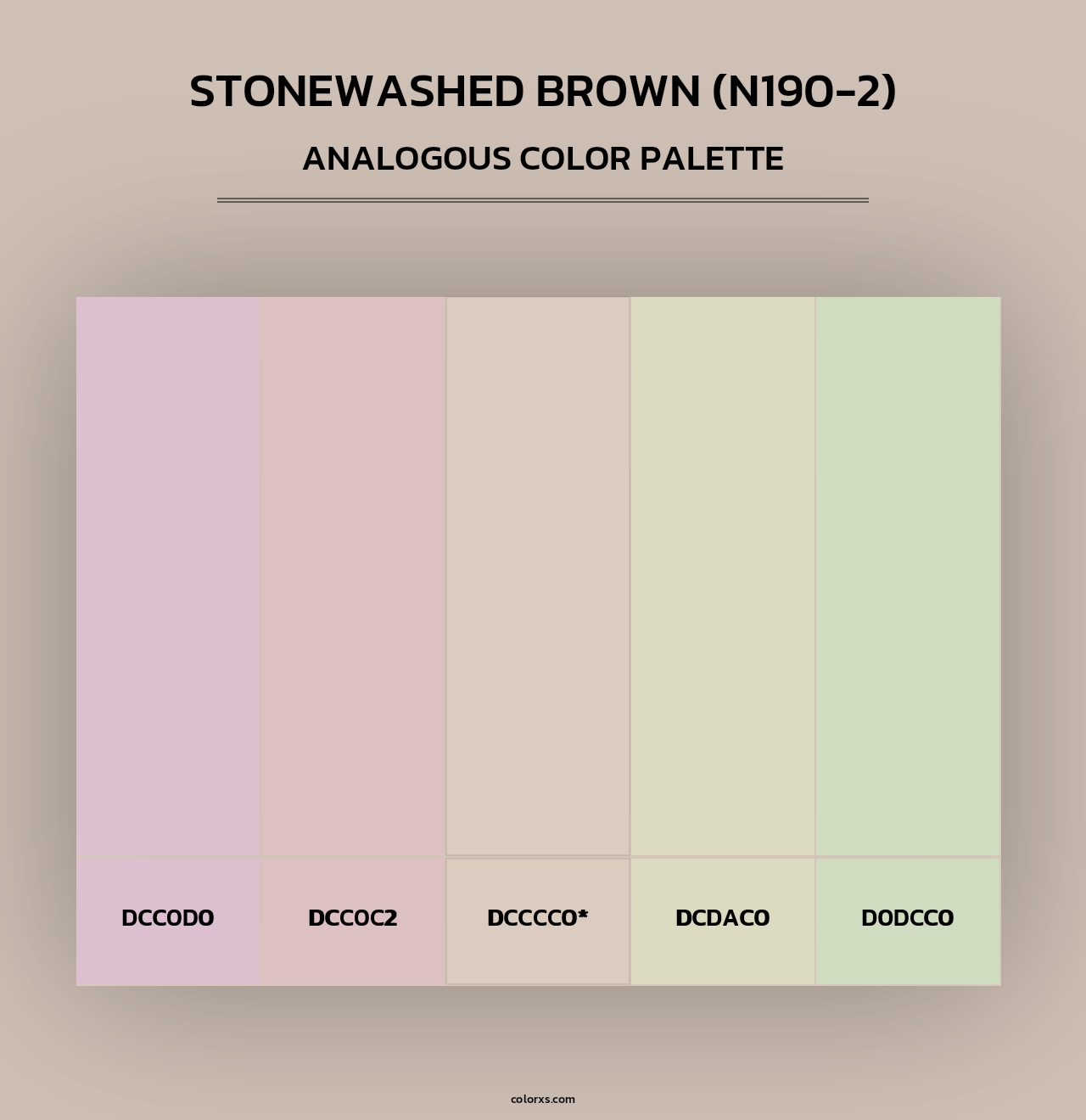 Stonewashed Brown (N190-2) - Analogous Color Palette