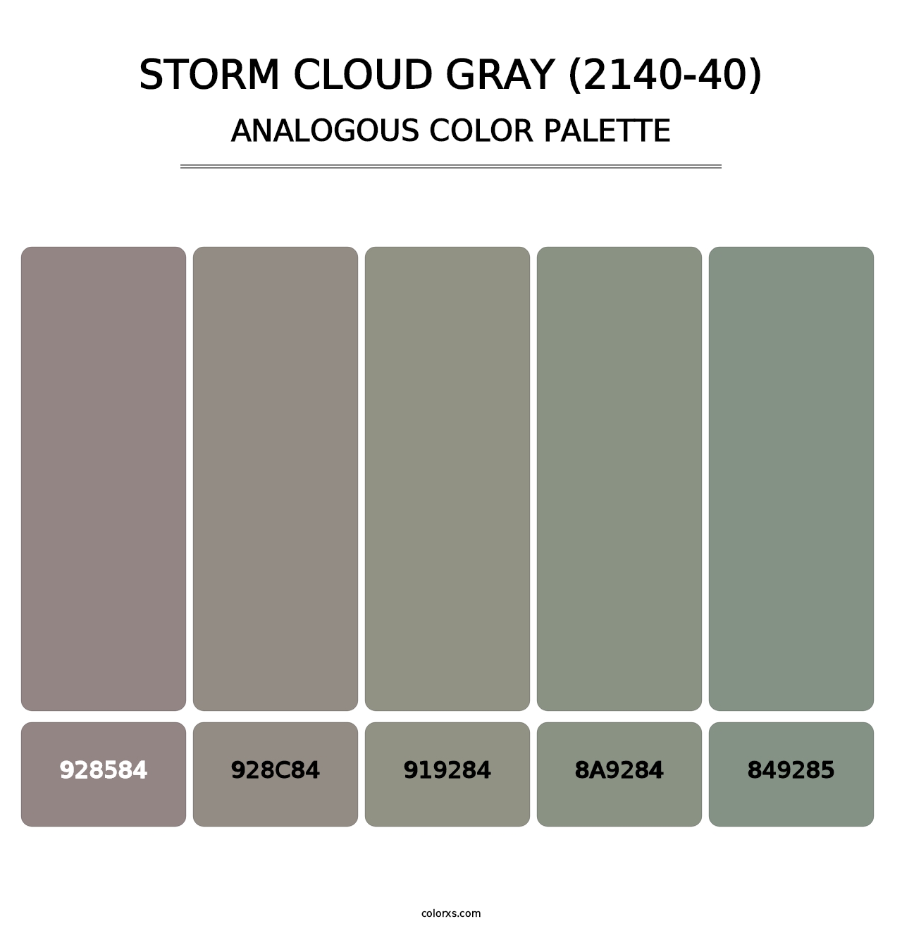 Storm Cloud Gray (2140-40) - Analogous Color Palette