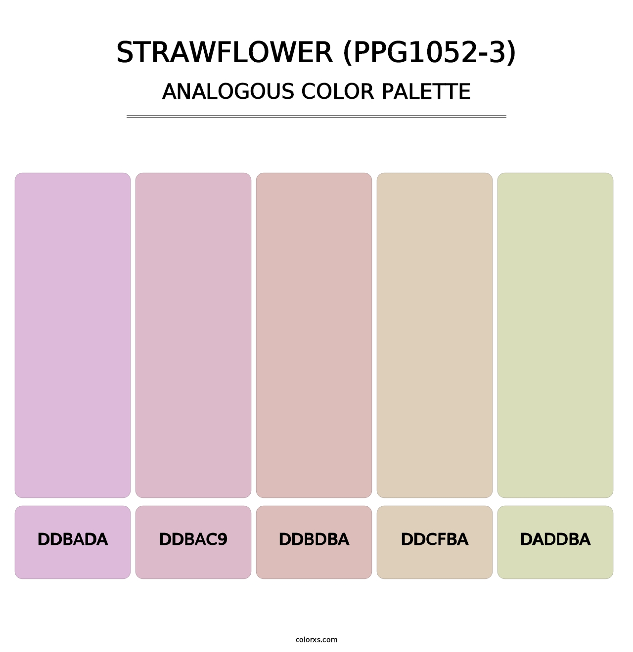 Strawflower (PPG1052-3) - Analogous Color Palette