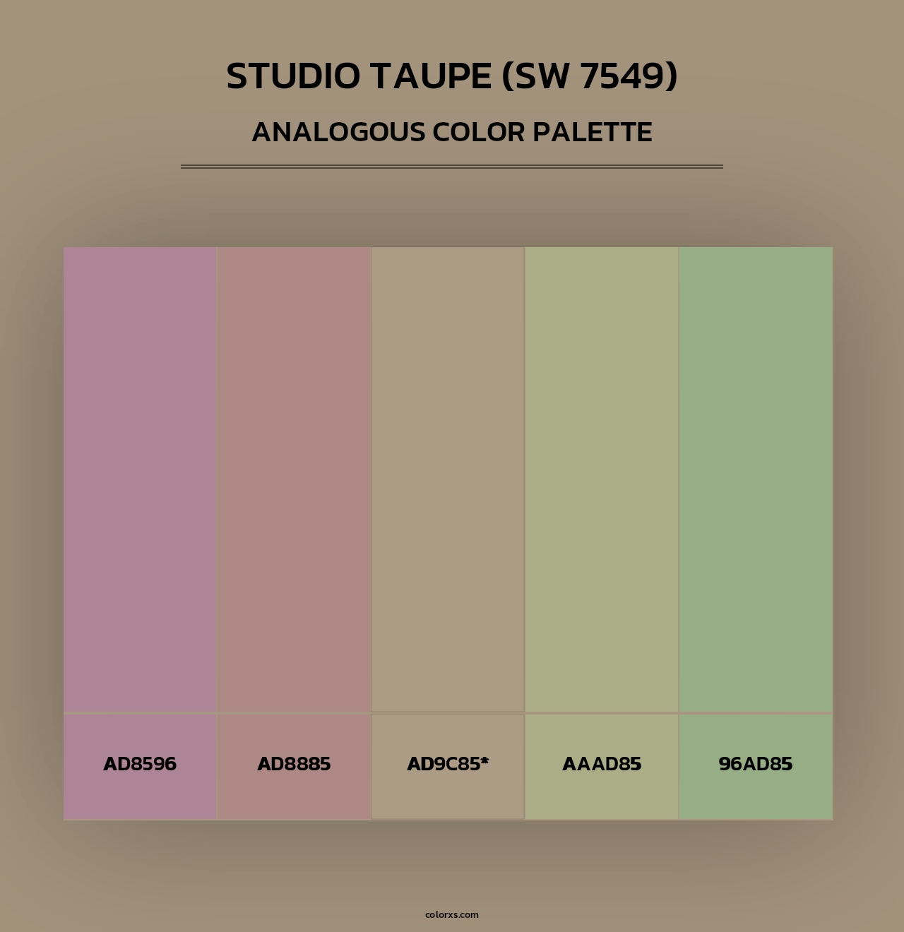 Studio Taupe (SW 7549) - Analogous Color Palette