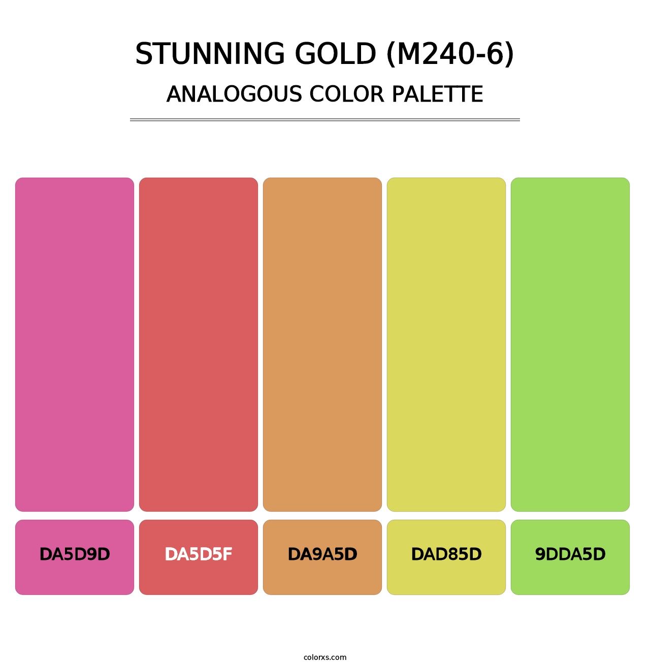 Stunning Gold (M240-6) - Analogous Color Palette