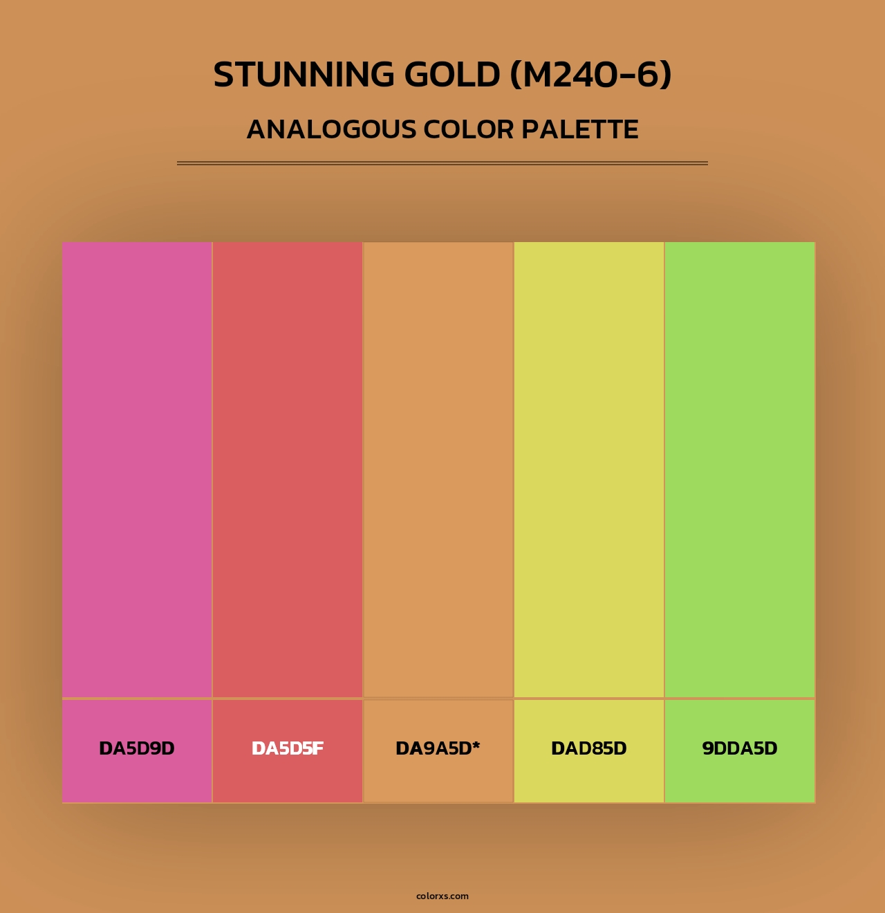 Stunning Gold (M240-6) - Analogous Color Palette