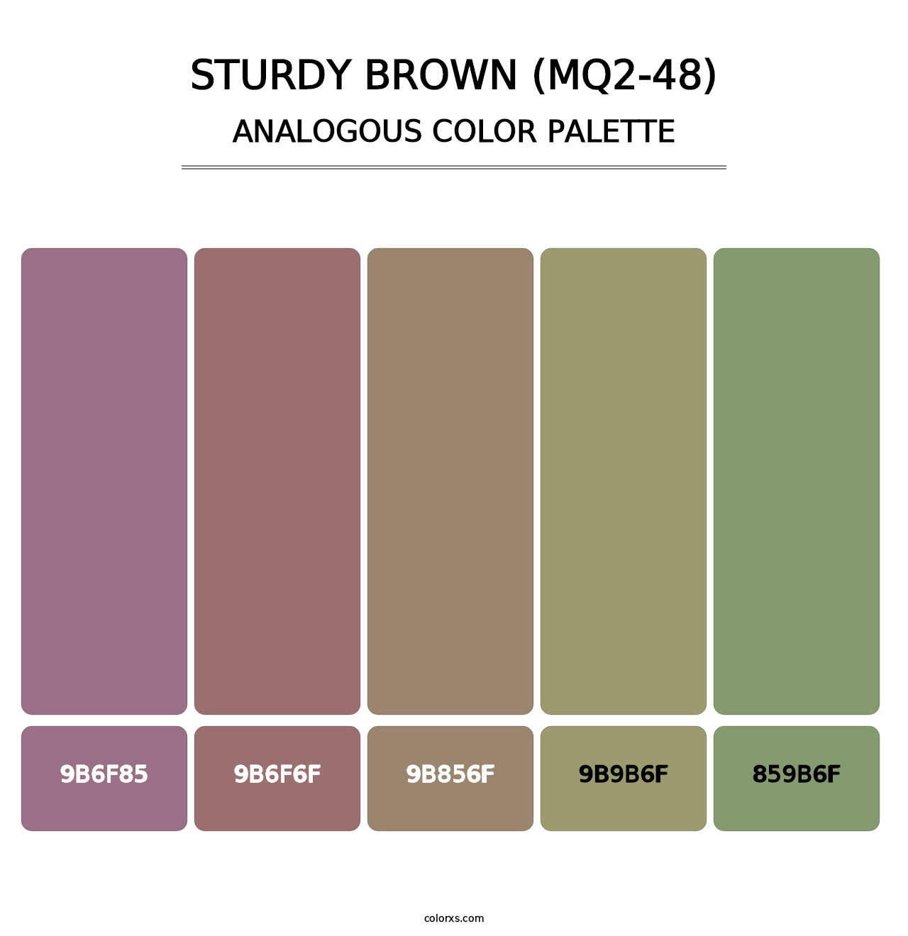 Sturdy Brown (MQ2-48) - Analogous Color Palette