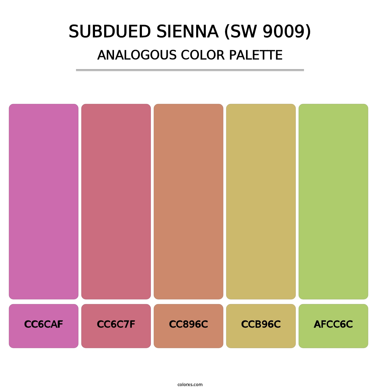 Subdued Sienna (SW 9009) - Analogous Color Palette