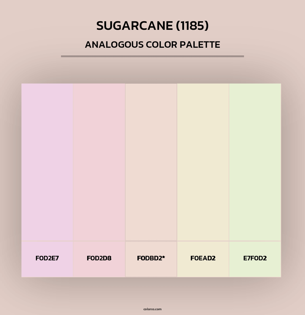 Sugarcane (1185) - Analogous Color Palette