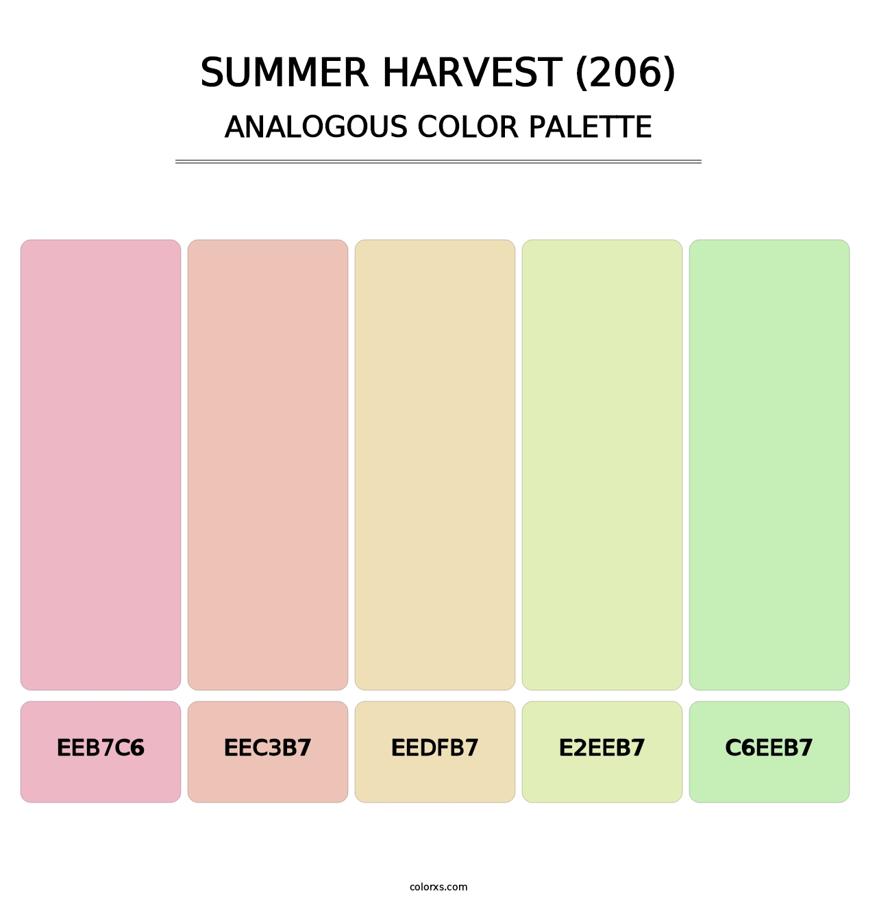 Summer Harvest (206) - Analogous Color Palette