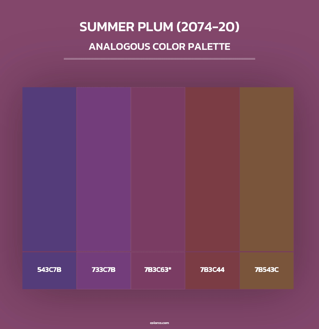 Summer Plum (2074-20) - Analogous Color Palette