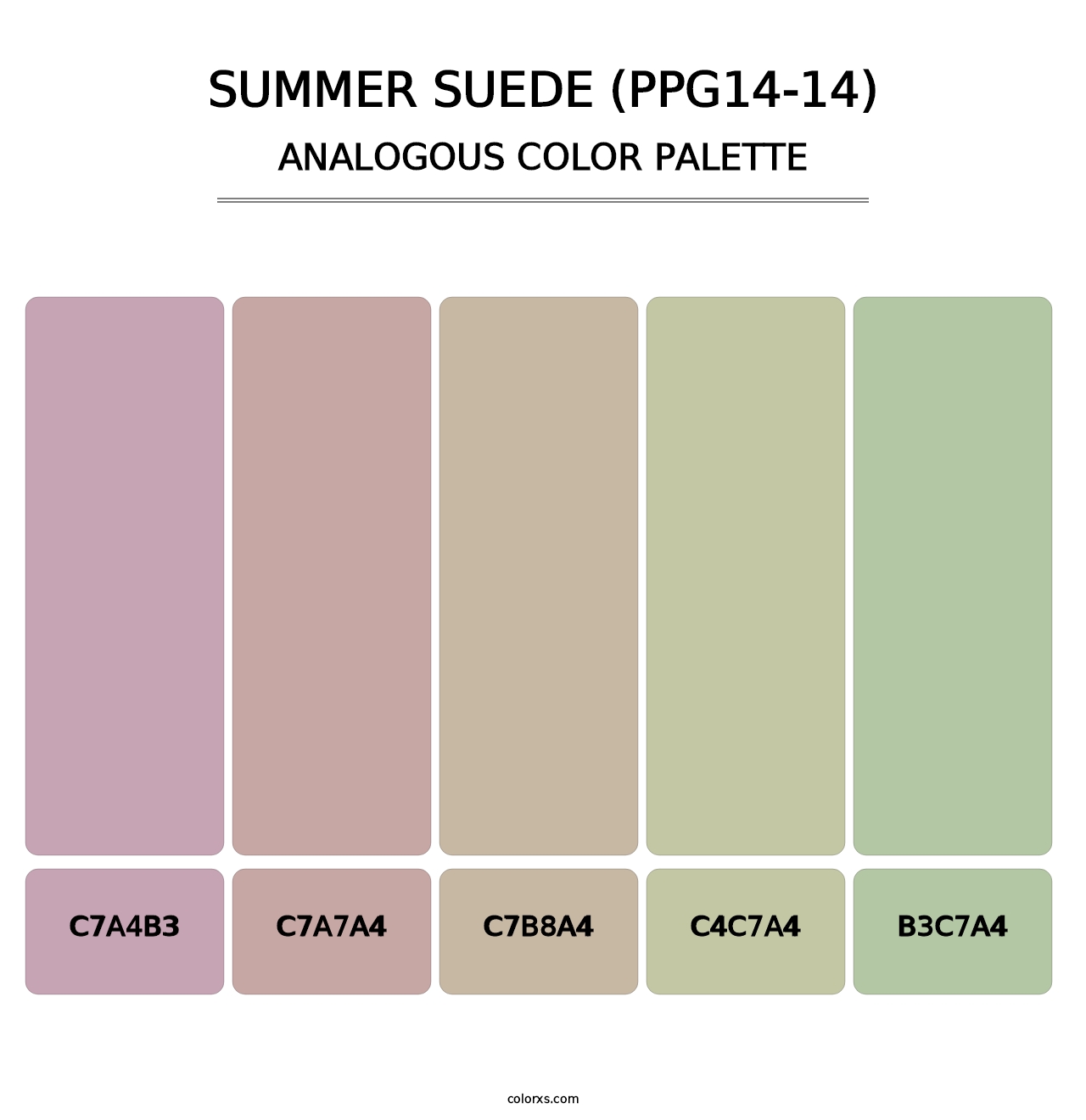 Summer Suede (PPG14-14) - Analogous Color Palette