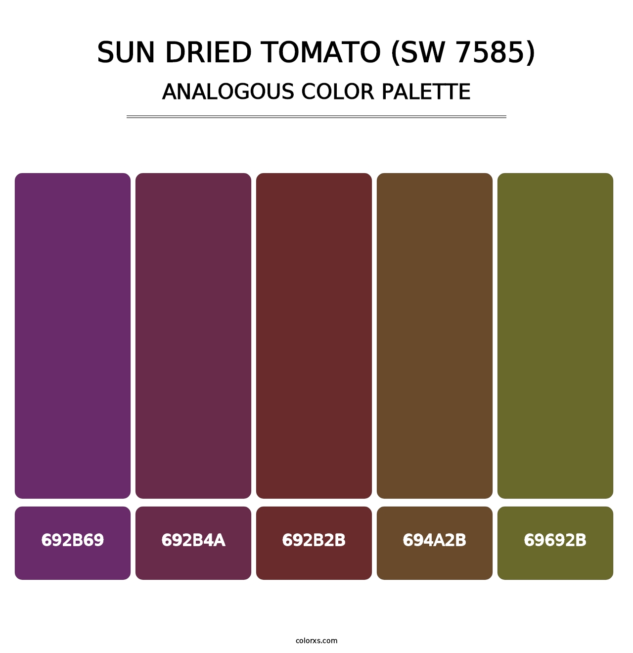 Sun Dried Tomato (SW 7585) - Analogous Color Palette