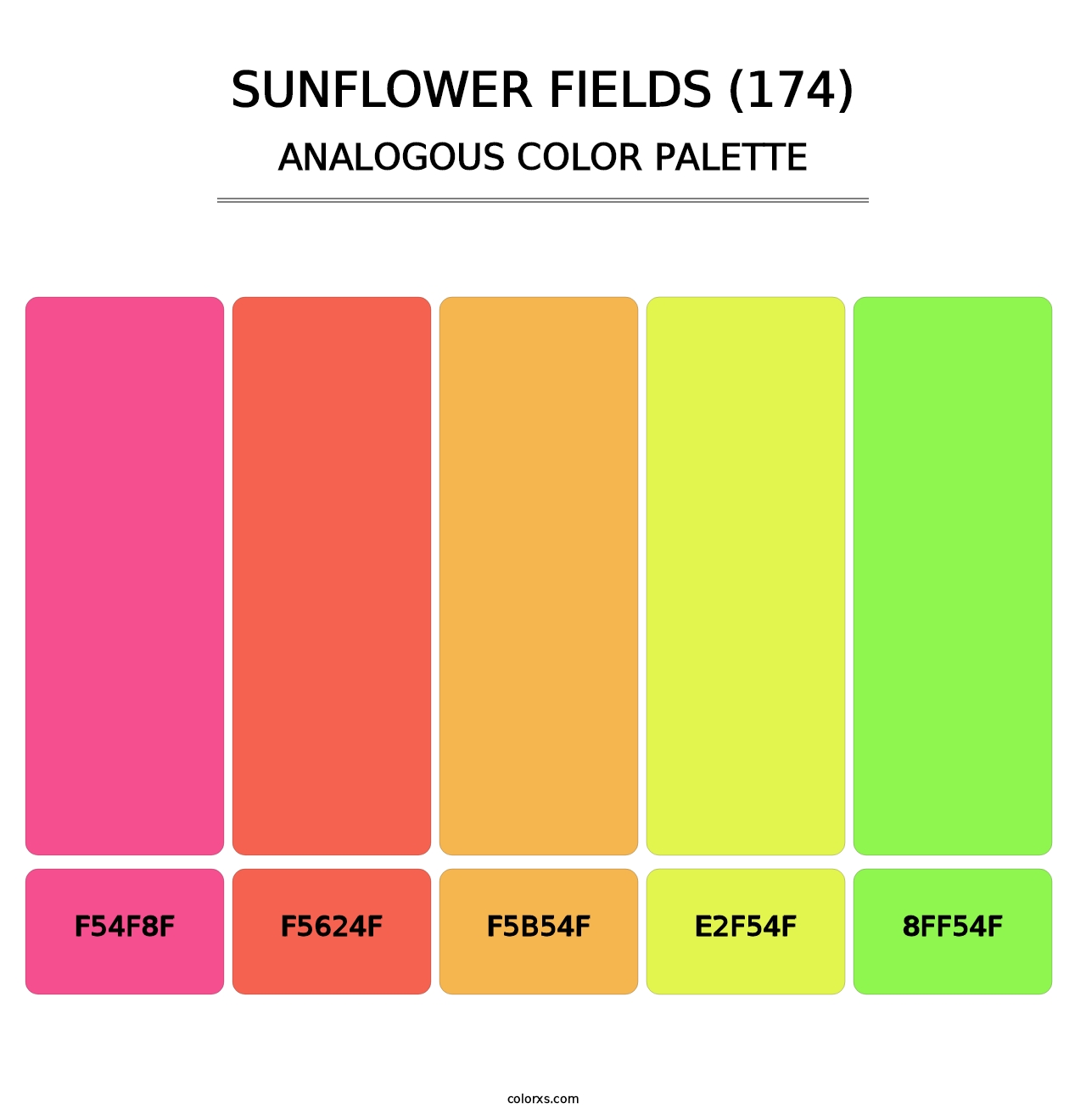 Sunflower Fields (174) - Analogous Color Palette