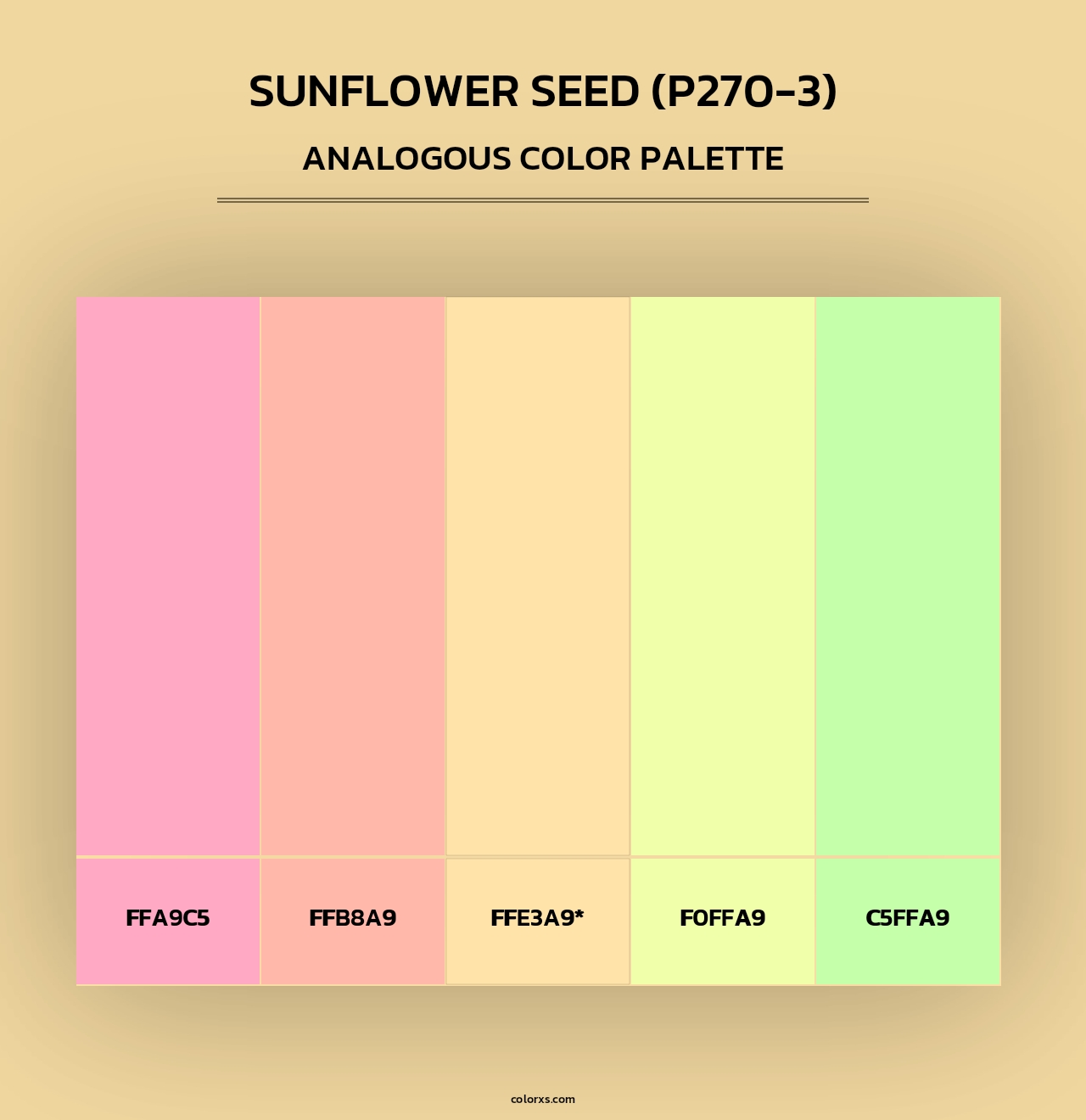 Sunflower Seed (P270-3) - Analogous Color Palette