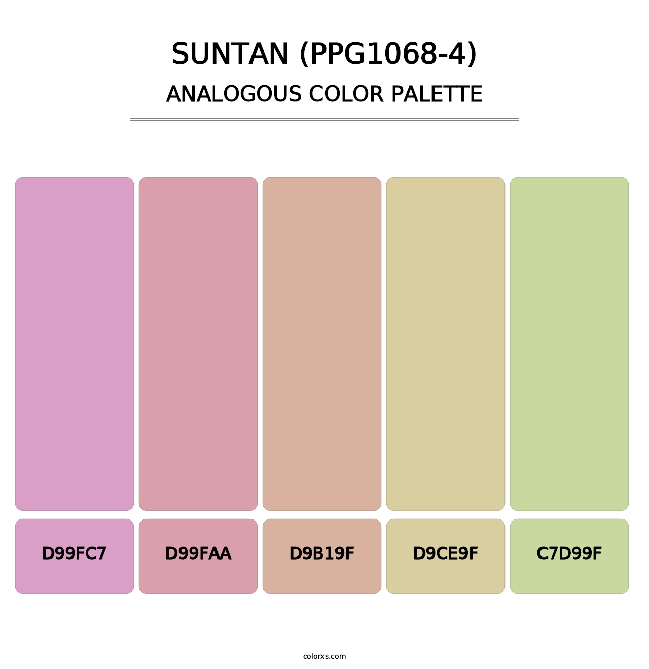 Suntan (PPG1068-4) - Analogous Color Palette