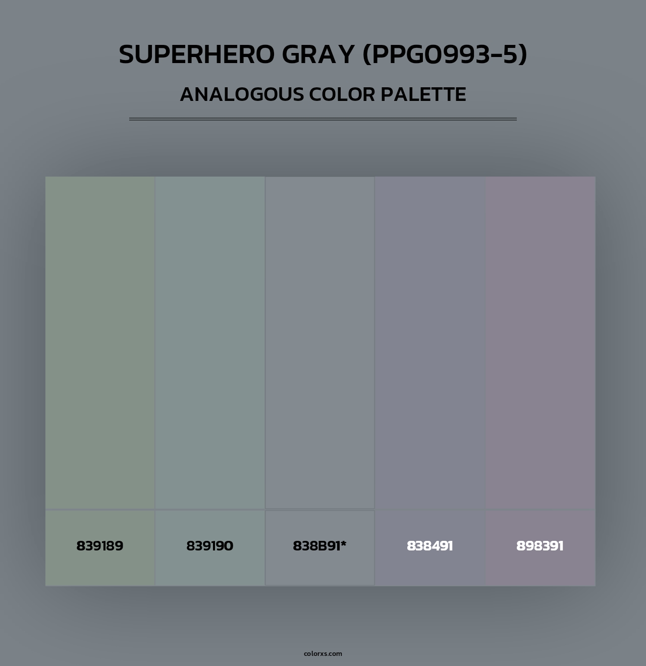 Superhero Gray (PPG0993-5) - Analogous Color Palette