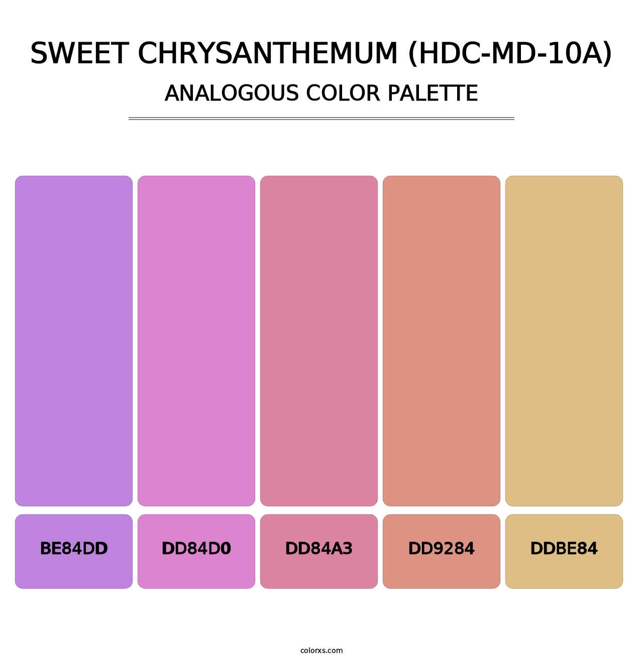 Sweet Chrysanthemum (HDC-MD-10A) - Analogous Color Palette