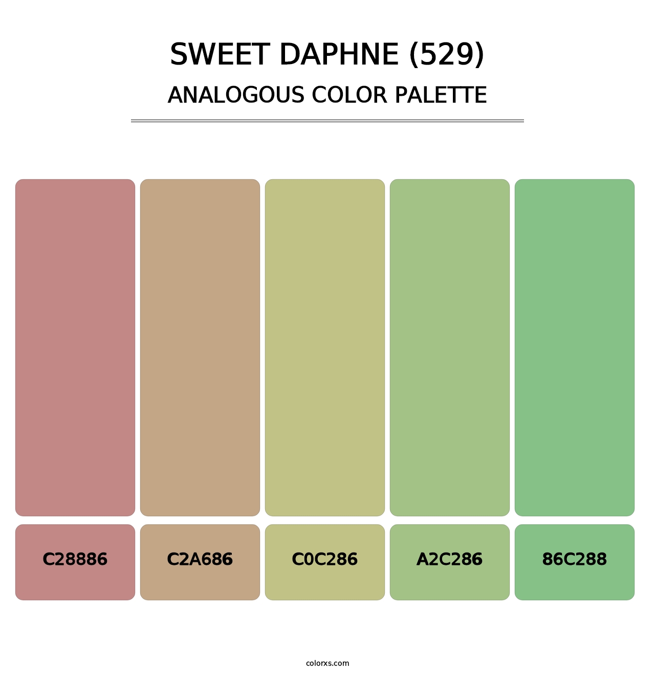 Sweet Daphne (529) - Analogous Color Palette