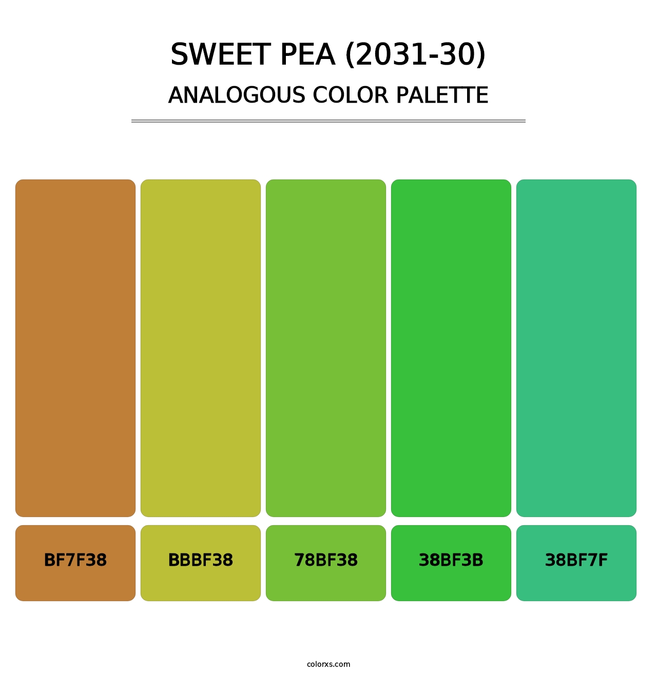Sweet Pea (2031-30) - Analogous Color Palette
