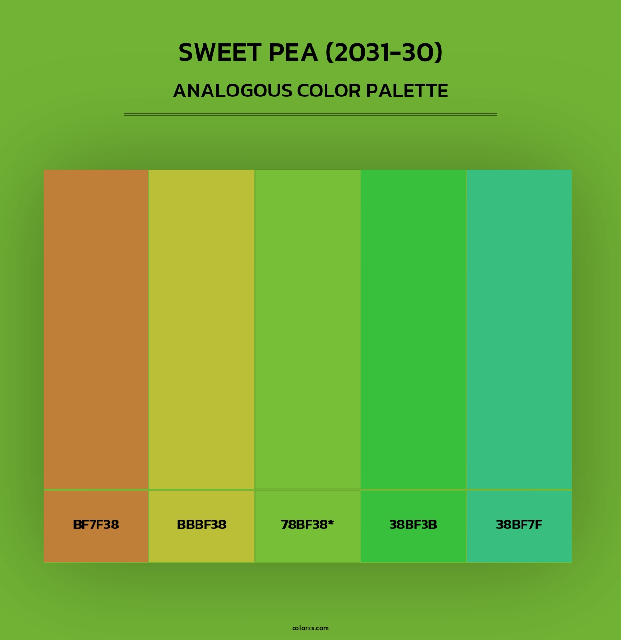 Sweet Pea (2031-30) - Analogous Color Palette