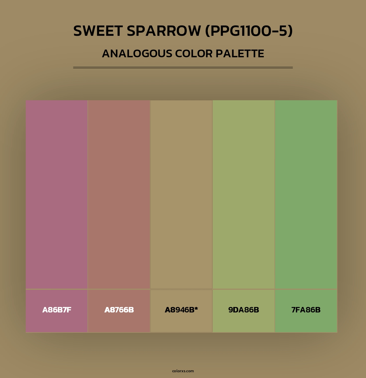 Sweet Sparrow (PPG1100-5) - Analogous Color Palette