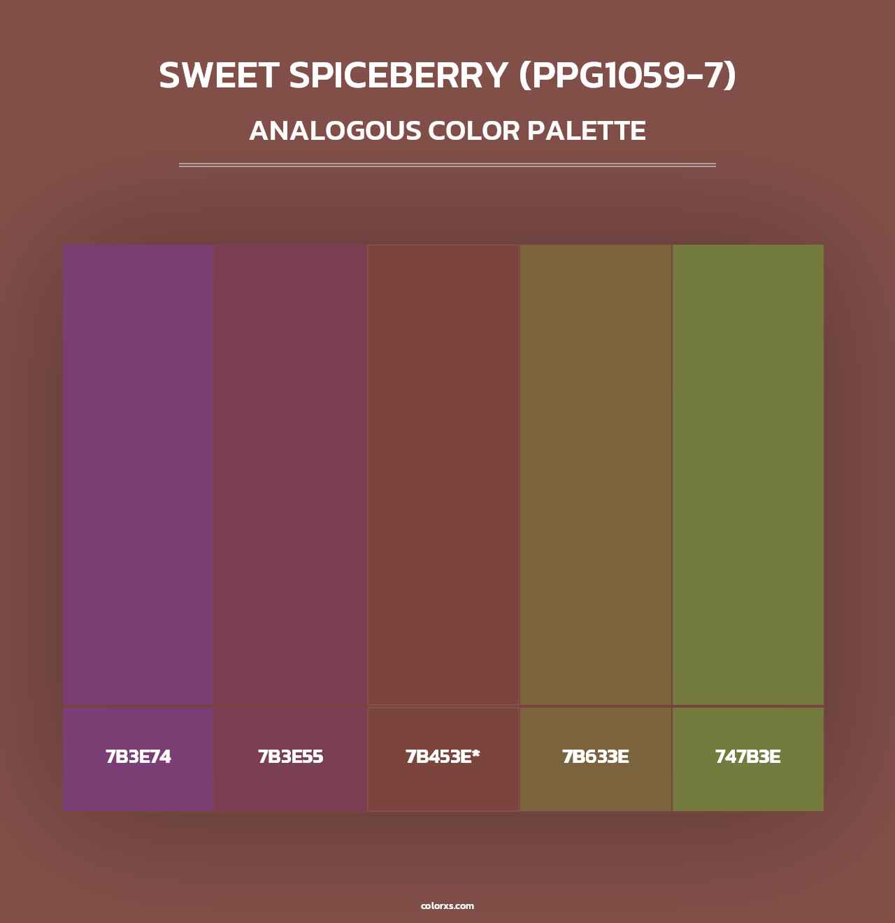 Sweet Spiceberry (PPG1059-7) - Analogous Color Palette