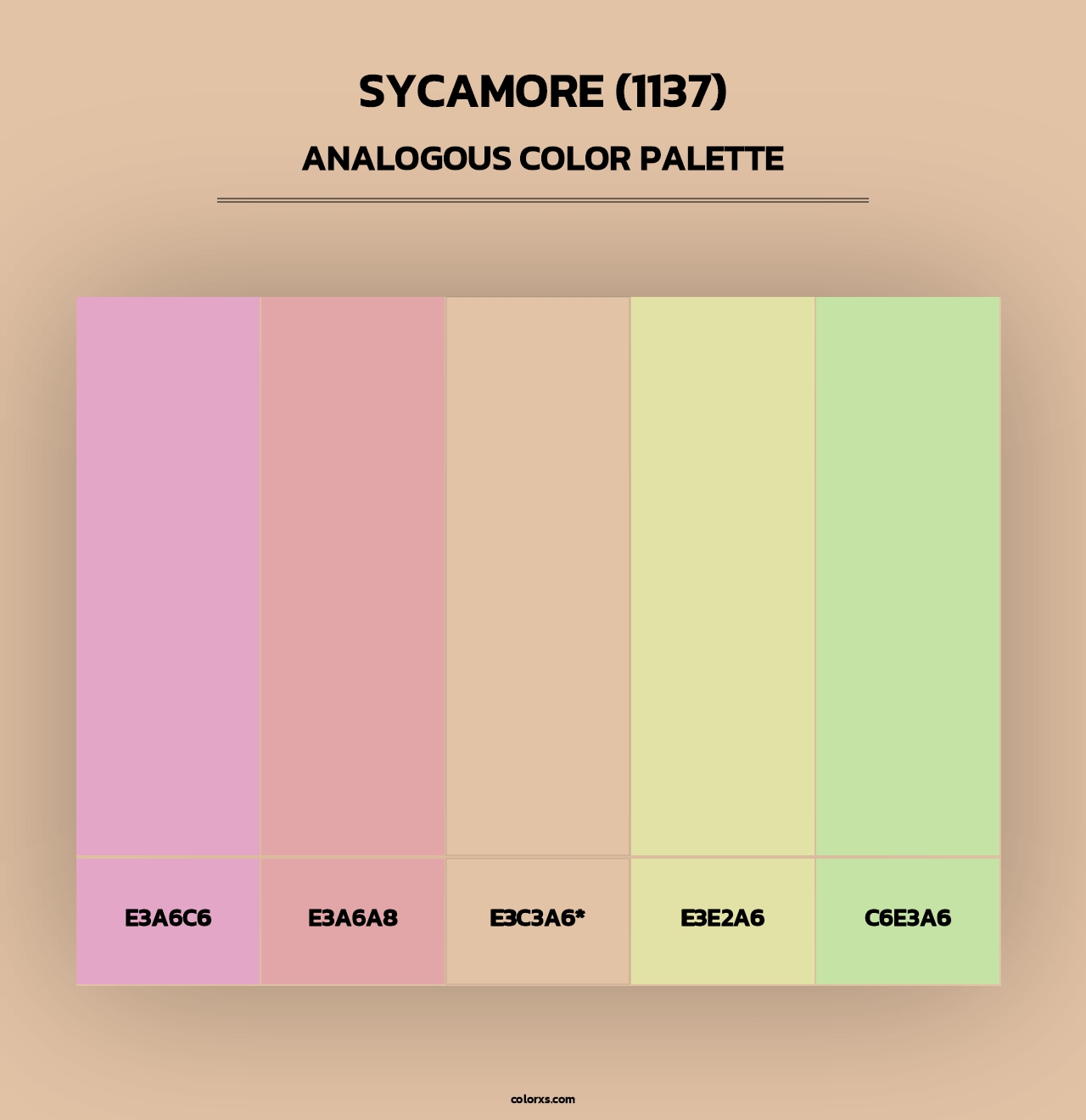 Sycamore (1137) - Analogous Color Palette