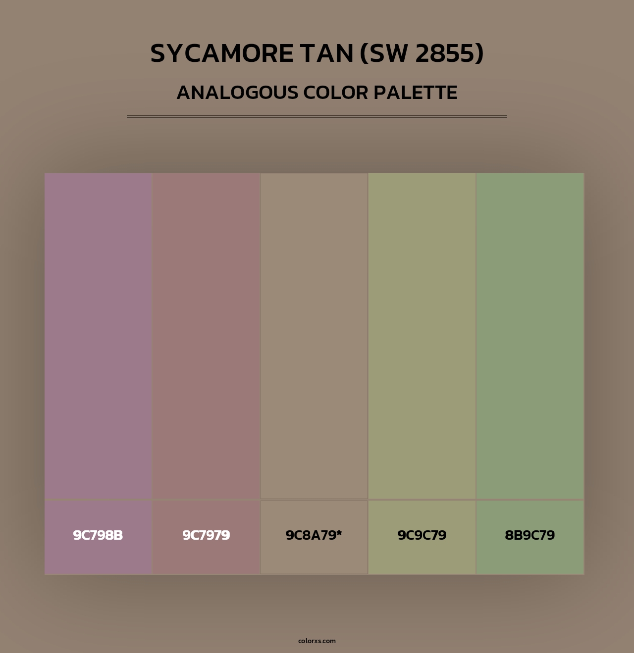 Sycamore Tan (SW 2855) - Analogous Color Palette