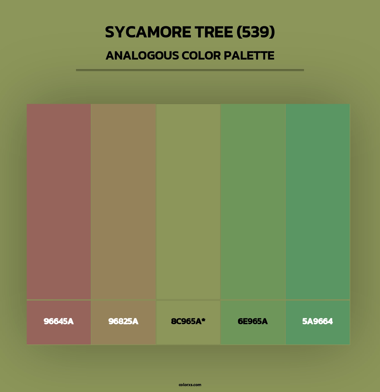 Sycamore Tree (539) - Analogous Color Palette