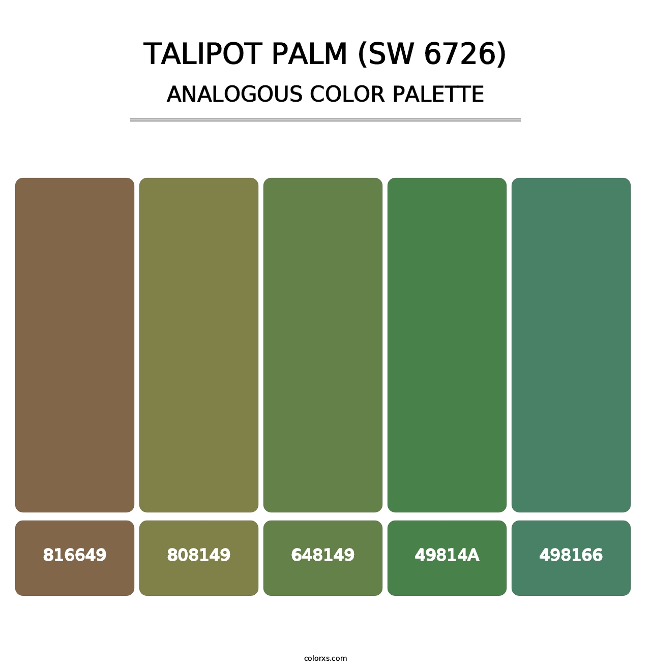 Talipot Palm (SW 6726) - Analogous Color Palette