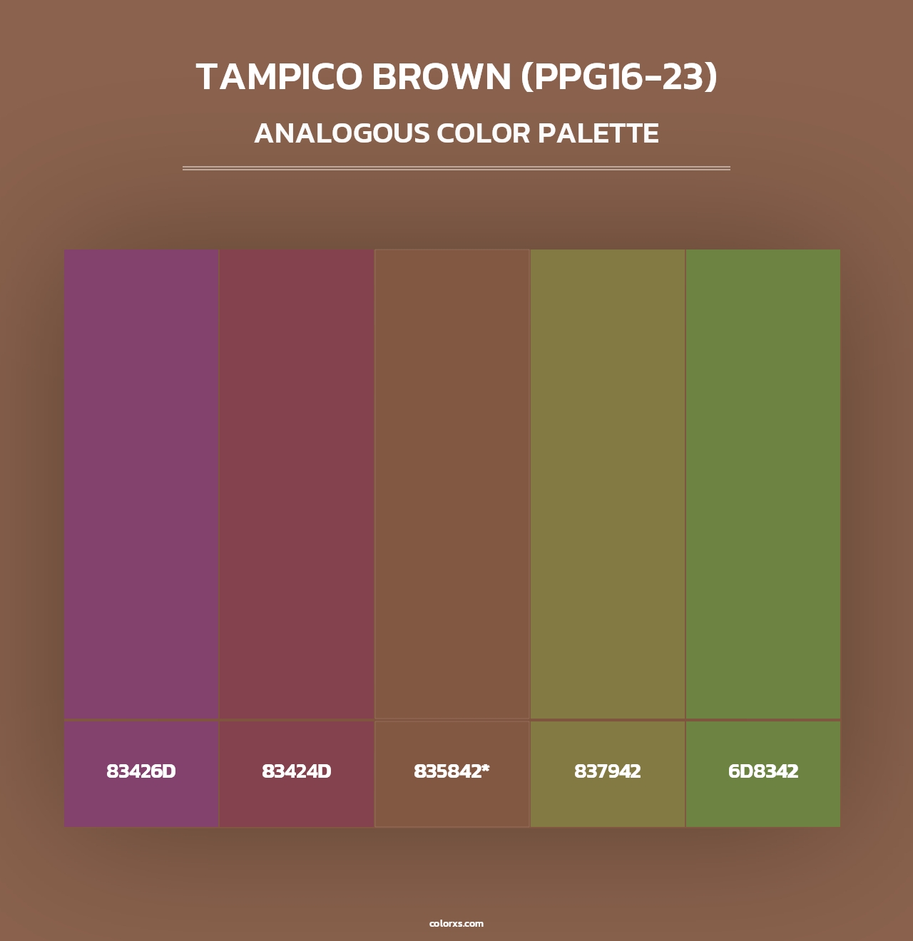 Tampico Brown (PPG16-23) - Analogous Color Palette
