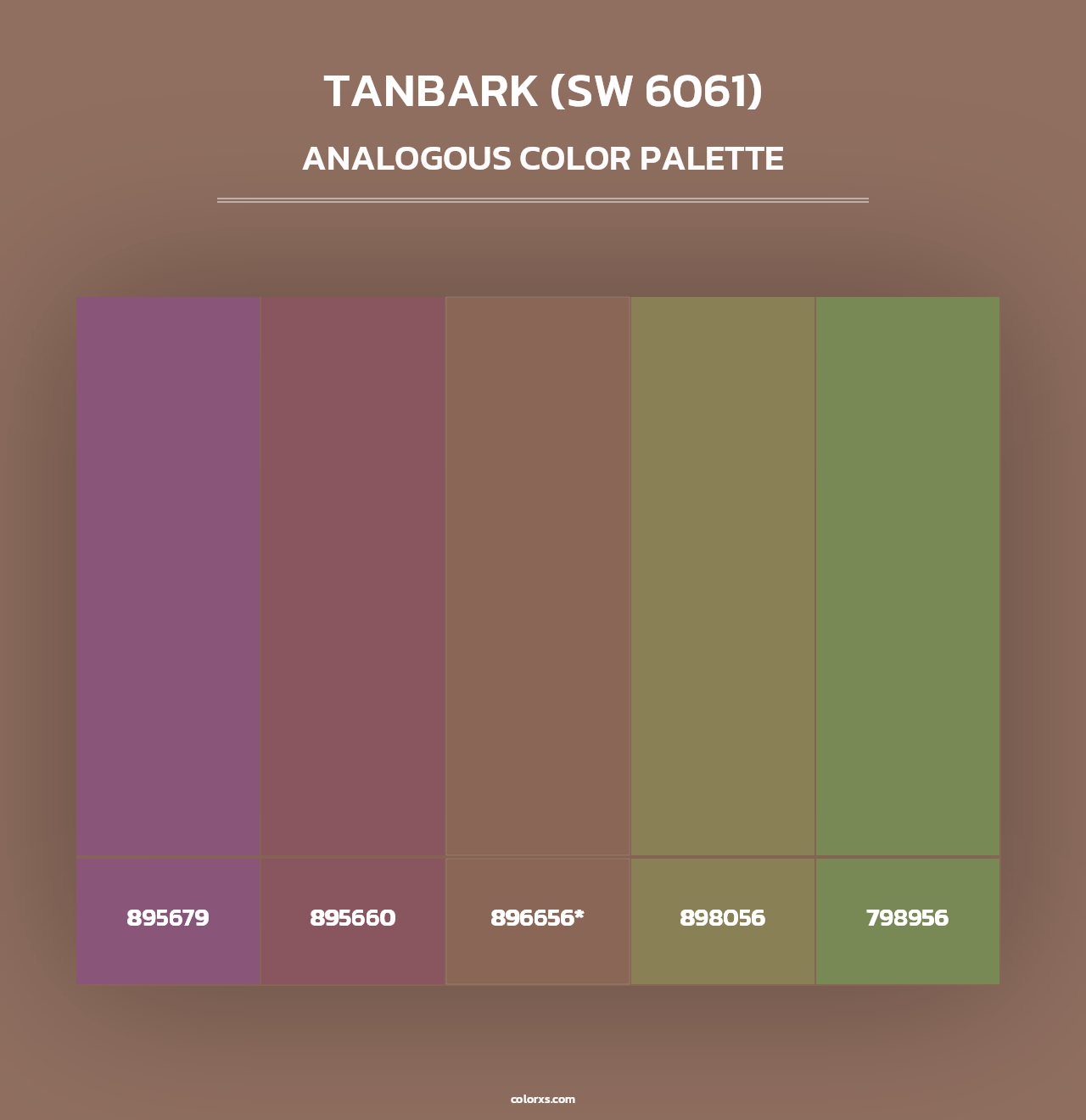 Tanbark (SW 6061) - Analogous Color Palette