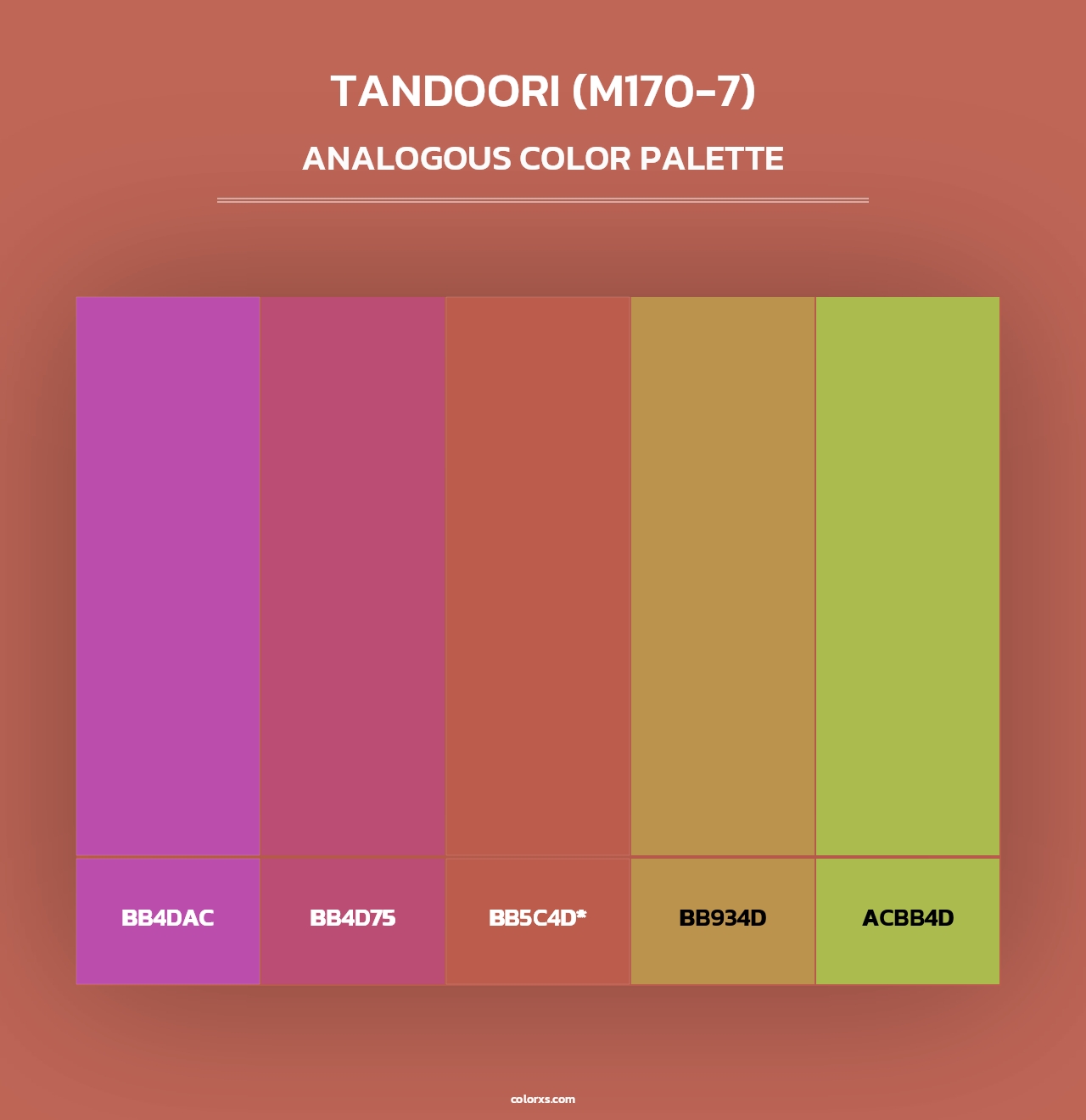 Tandoori (M170-7) - Analogous Color Palette