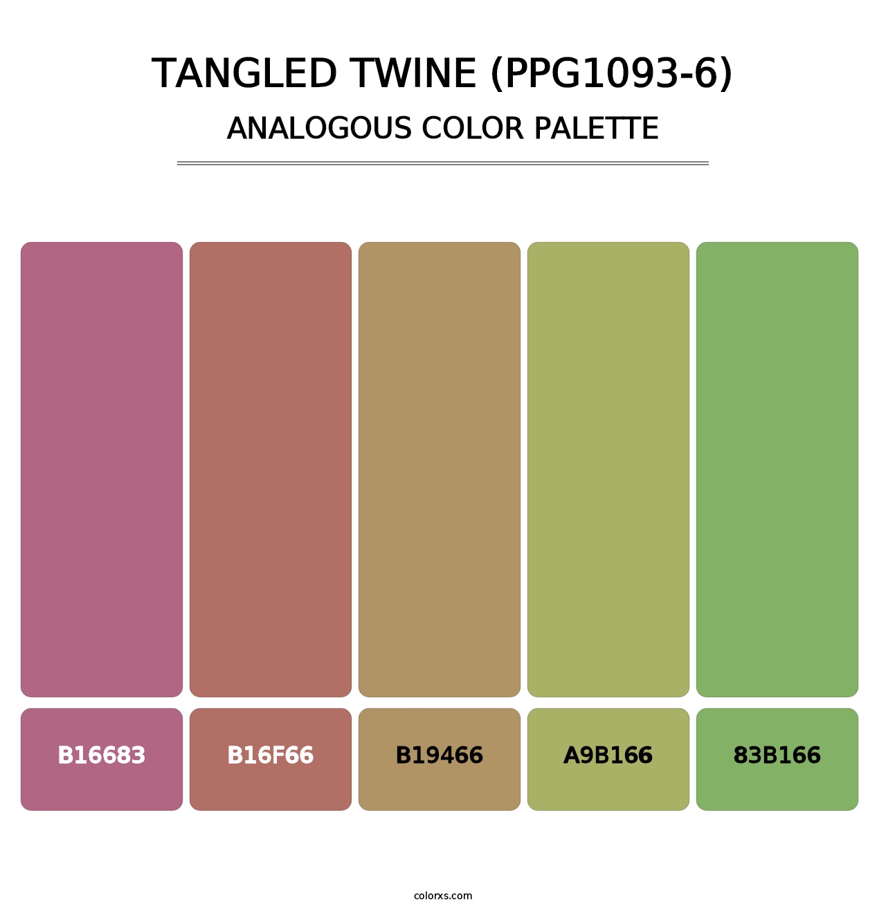 Tangled Twine (PPG1093-6) - Analogous Color Palette