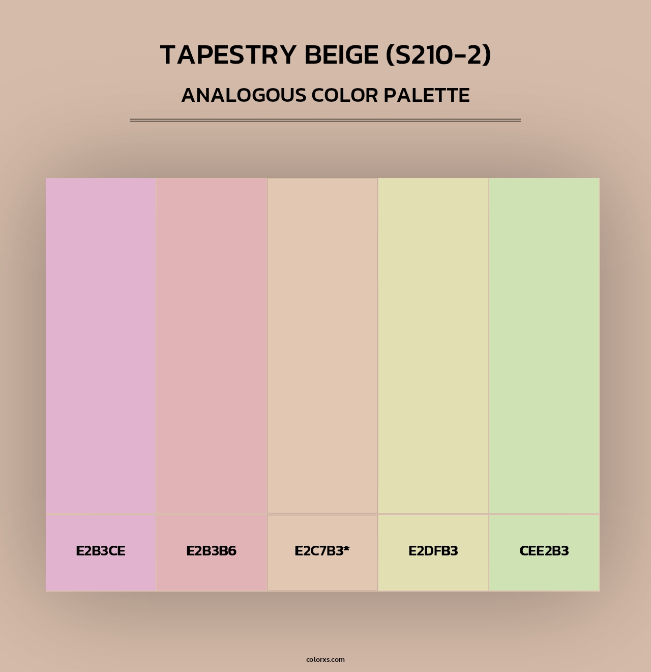 Tapestry Beige (S210-2) - Analogous Color Palette