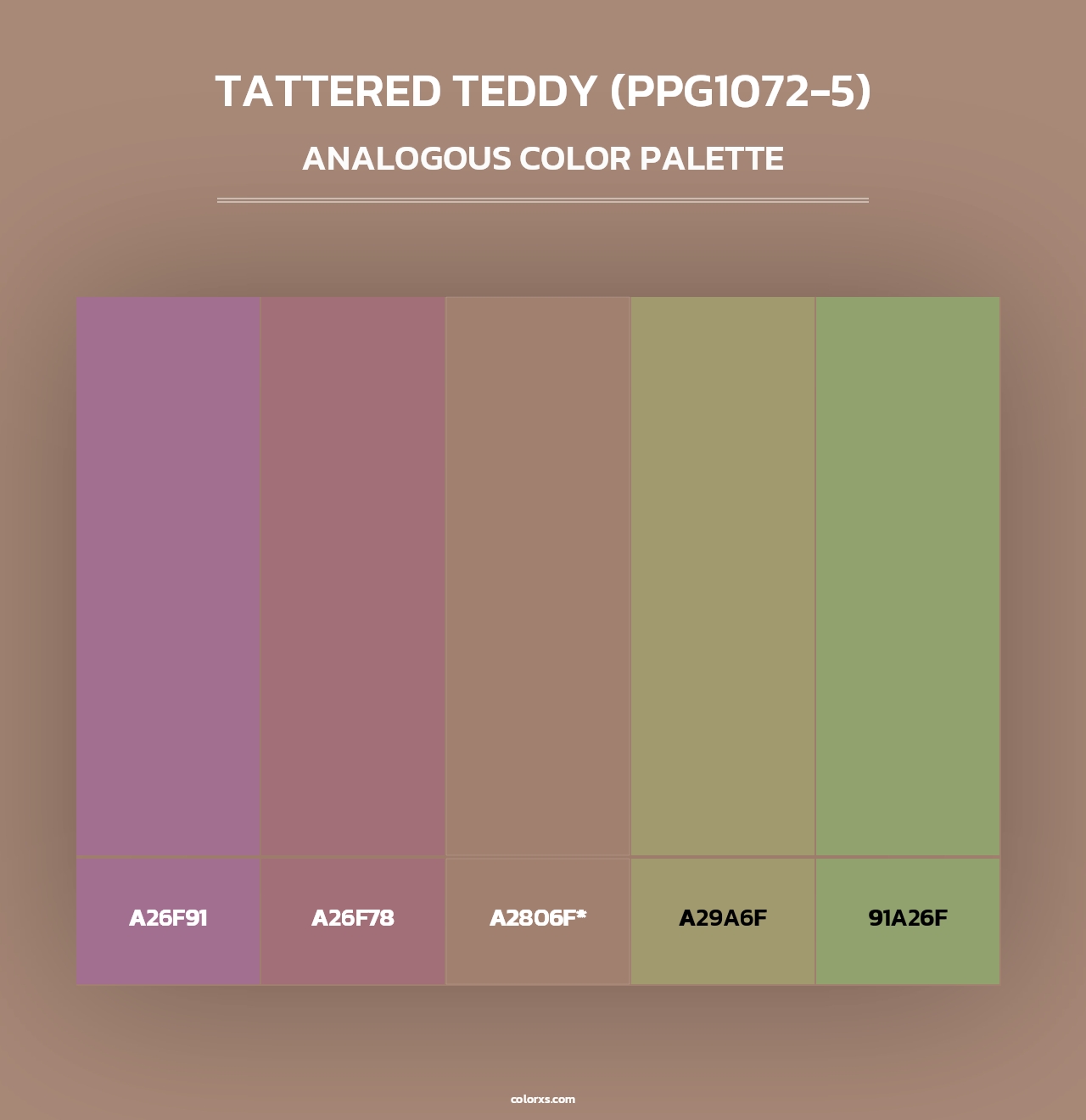 Tattered Teddy (PPG1072-5) - Analogous Color Palette