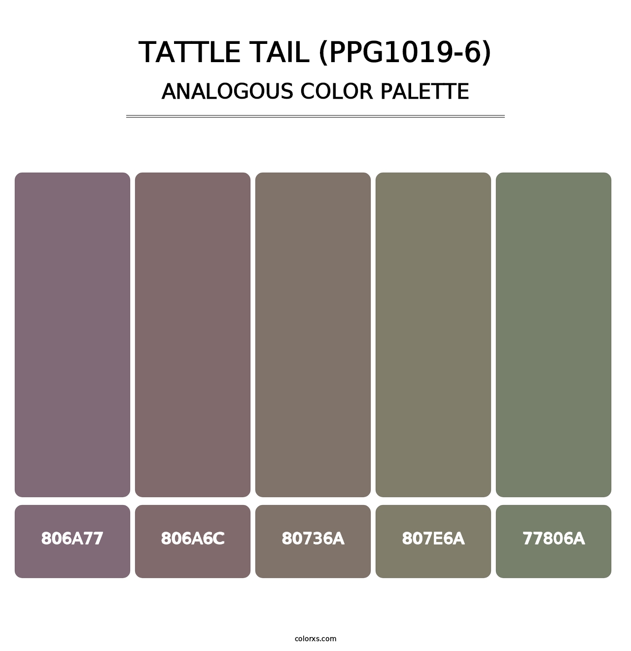 Tattle Tail (PPG1019-6) - Analogous Color Palette