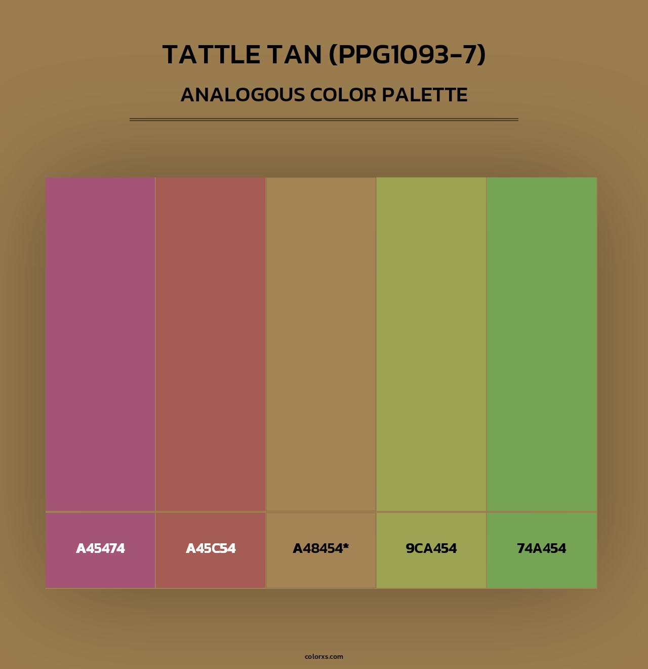 Tattle Tan (PPG1093-7) - Analogous Color Palette
