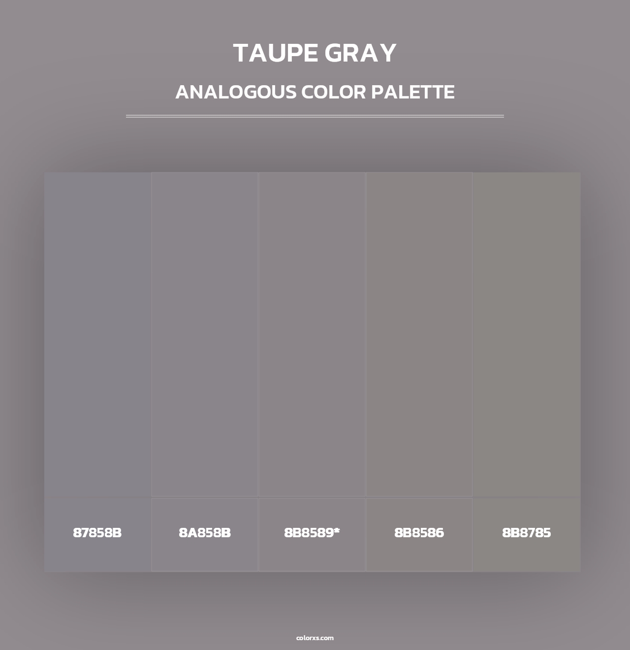 Taupe Gray - Analogous Color Palette
