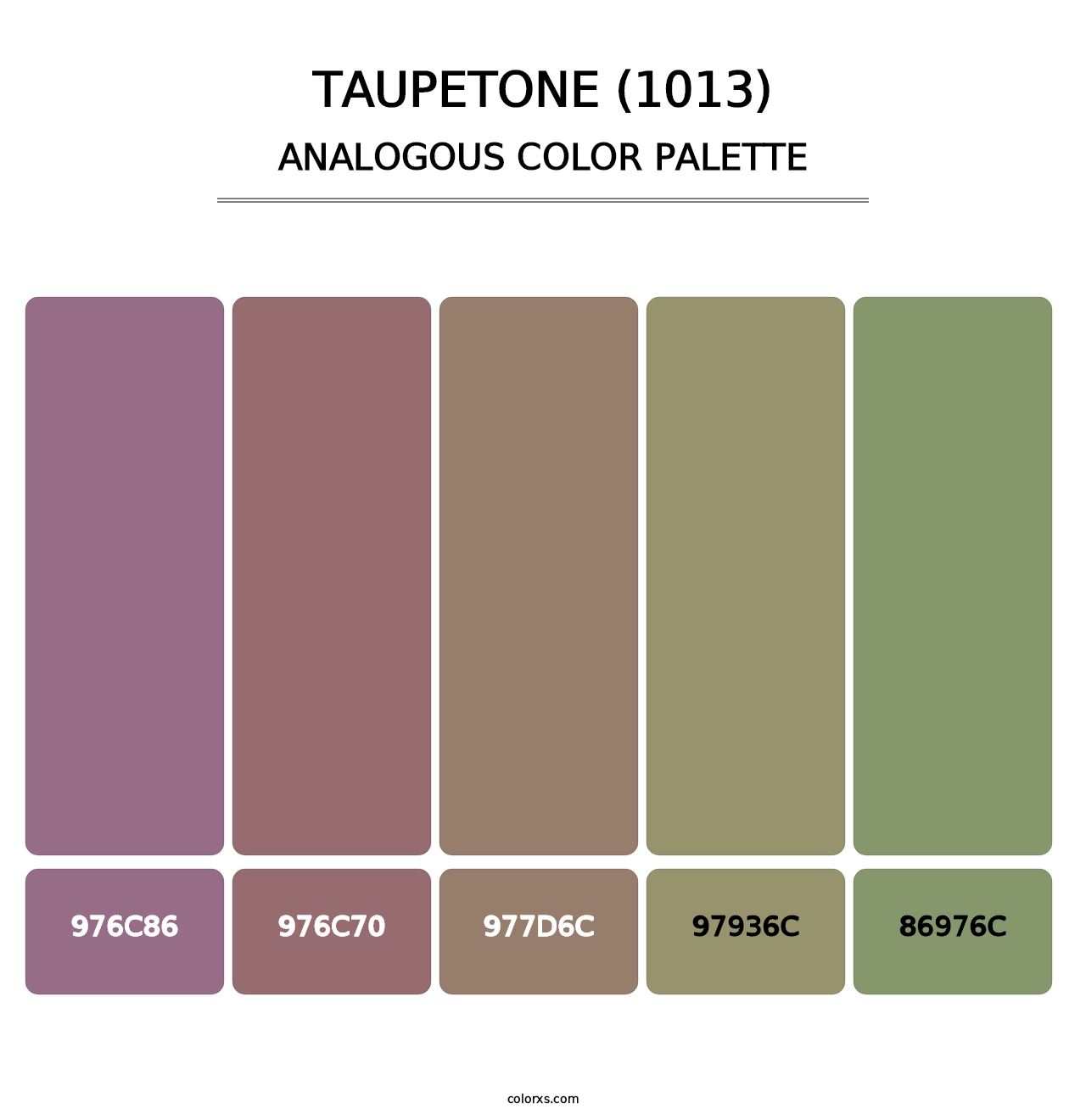 Taupetone (1013) - Analogous Color Palette