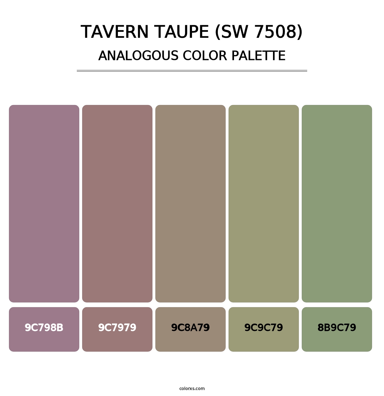 Tavern Taupe (SW 7508) - Analogous Color Palette
