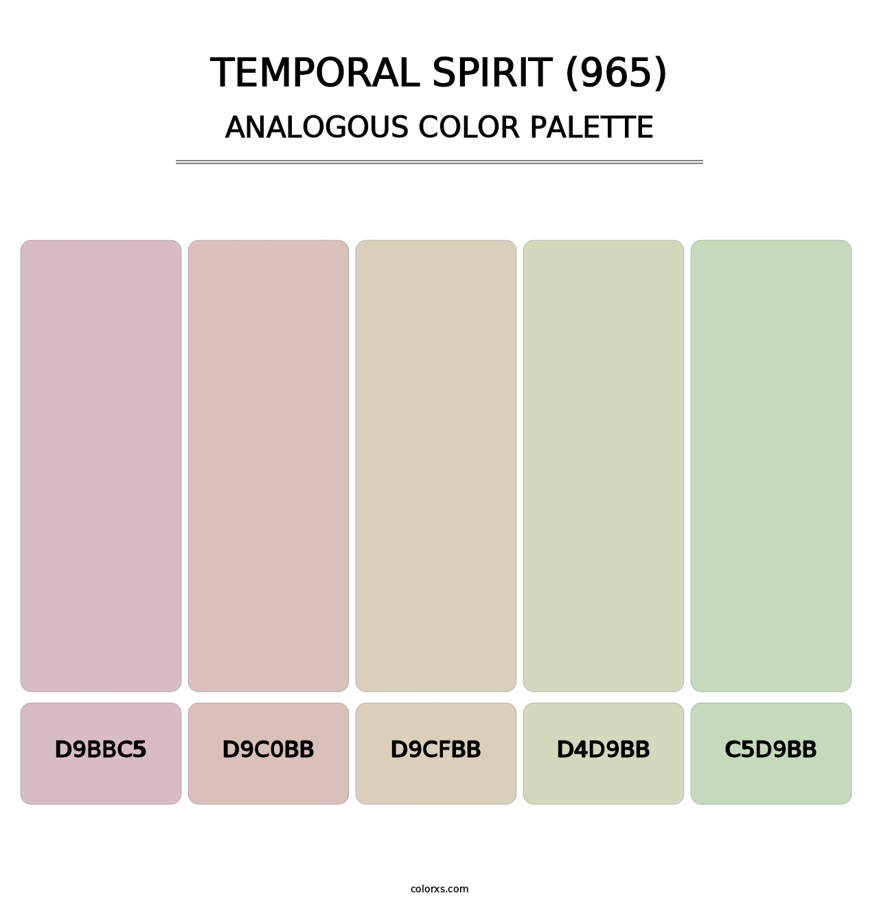 Temporal Spirit (965) - Analogous Color Palette