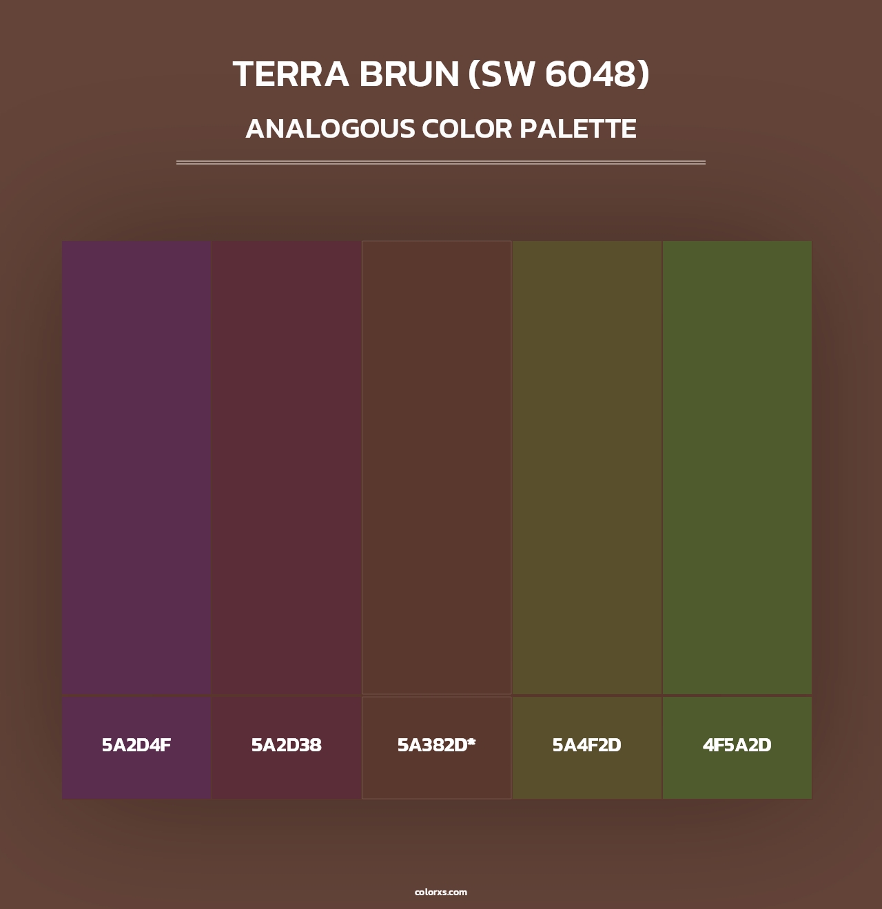 Terra Brun (SW 6048) - Analogous Color Palette