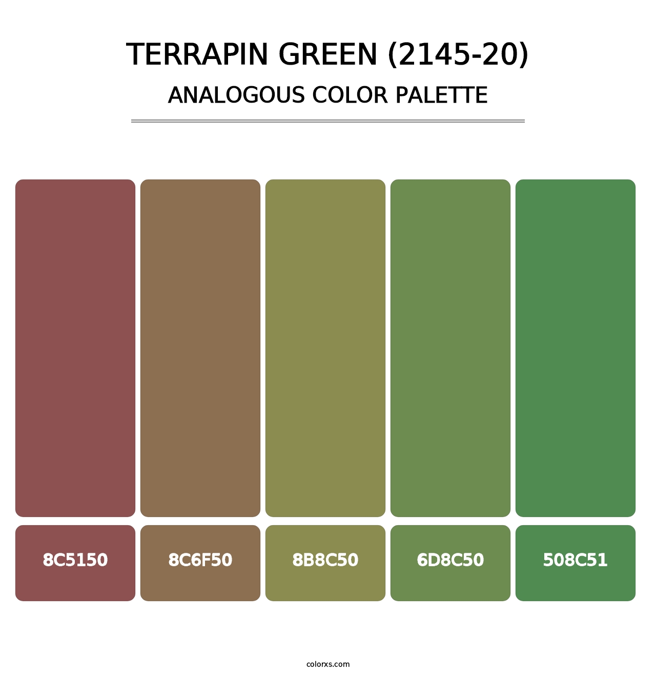 Terrapin Green (2145-20) - Analogous Color Palette