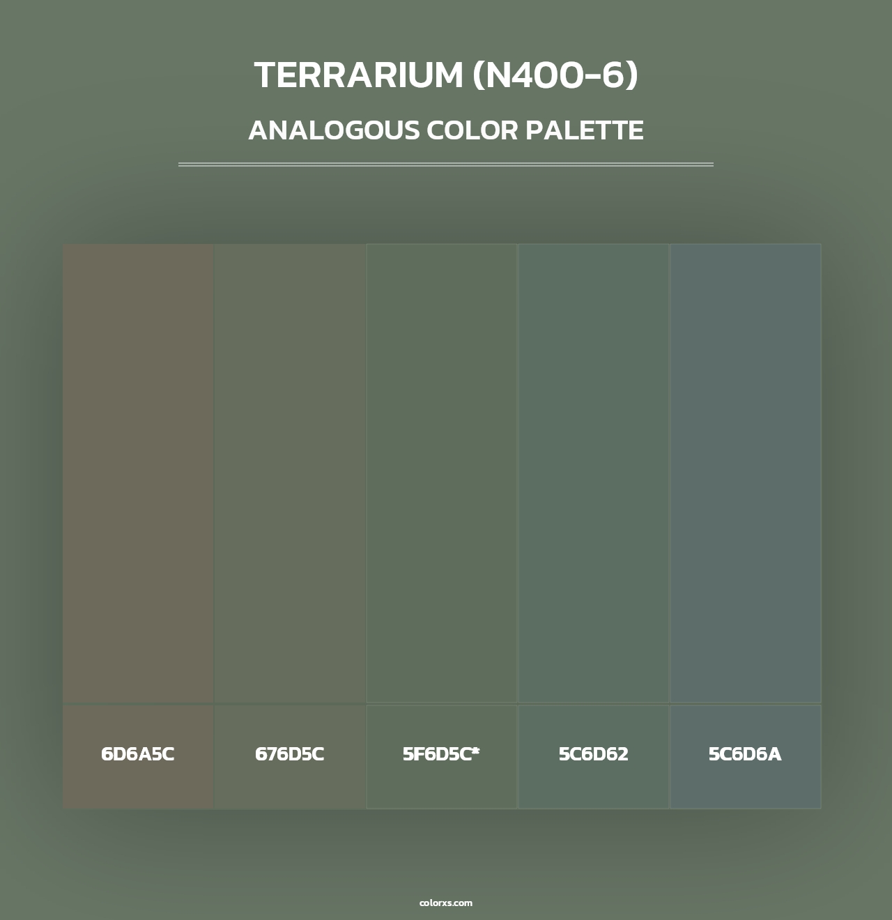 Terrarium (N400-6) - Analogous Color Palette