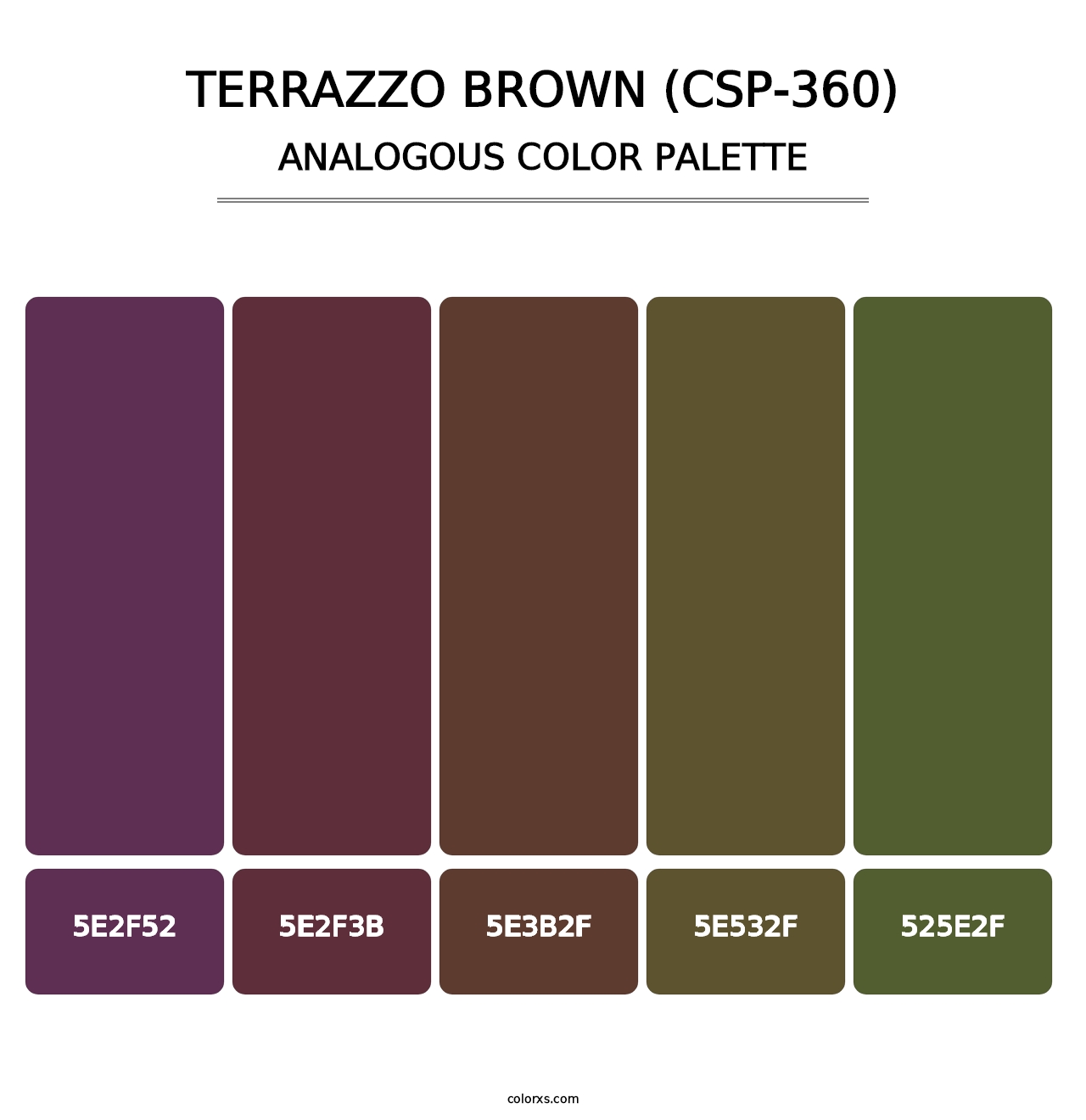 Terrazzo Brown (CSP-360) - Analogous Color Palette