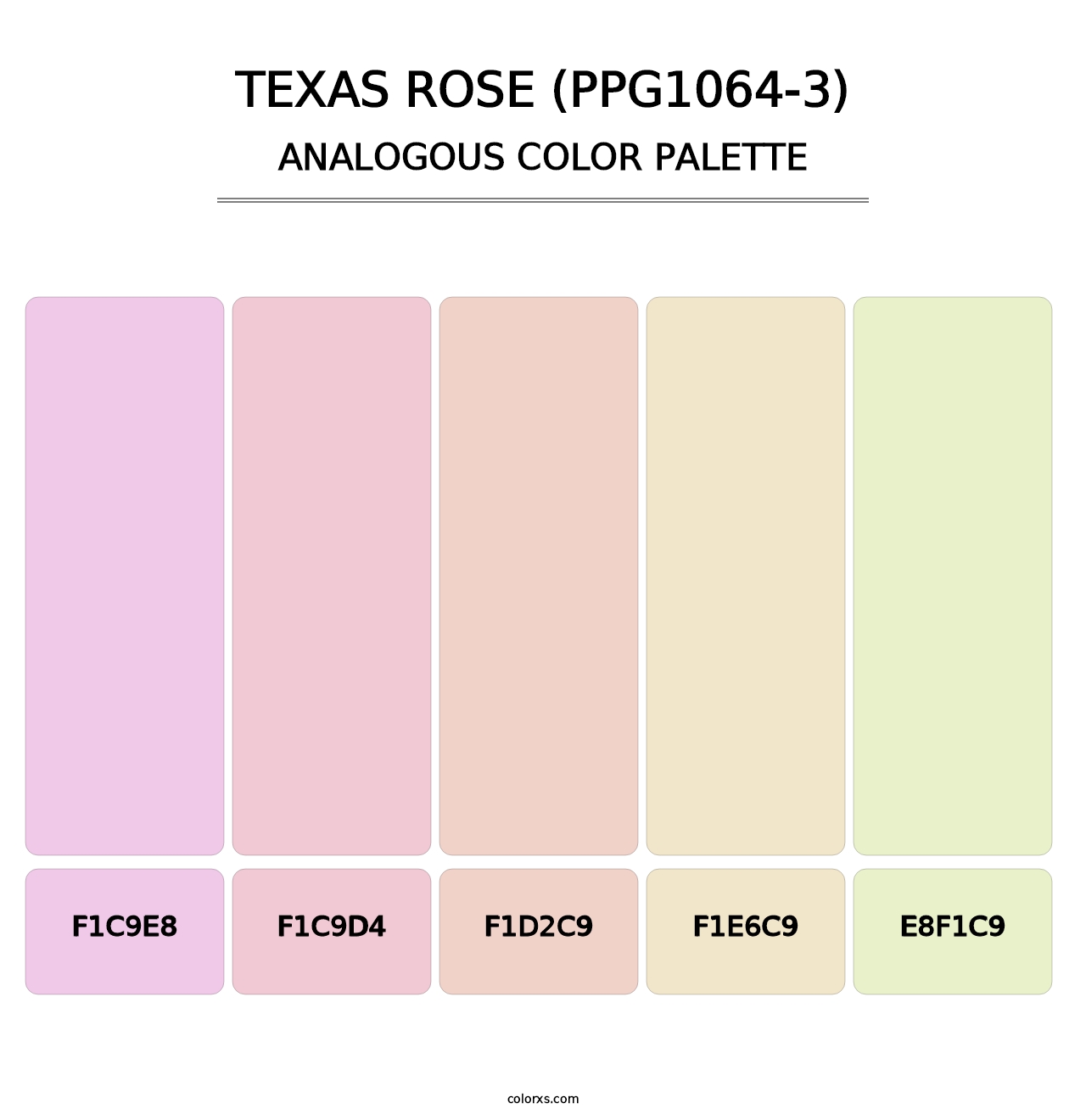 Texas Rose (PPG1064-3) - Analogous Color Palette