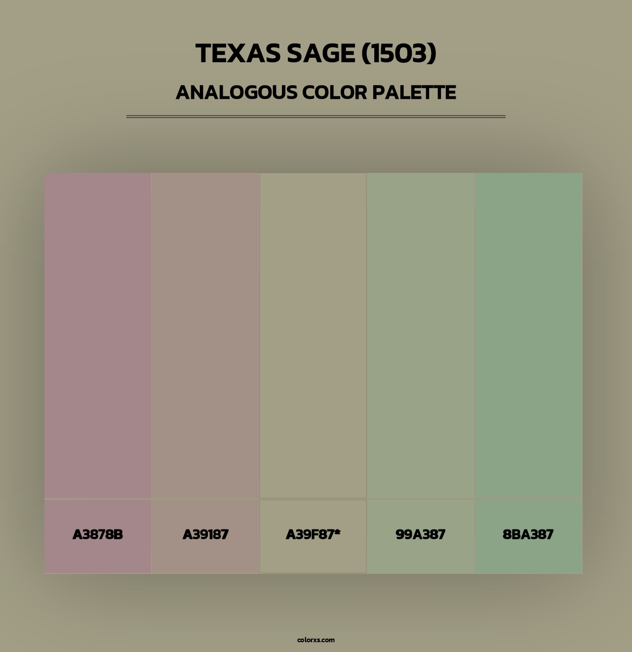 Texas Sage (1503) - Analogous Color Palette
