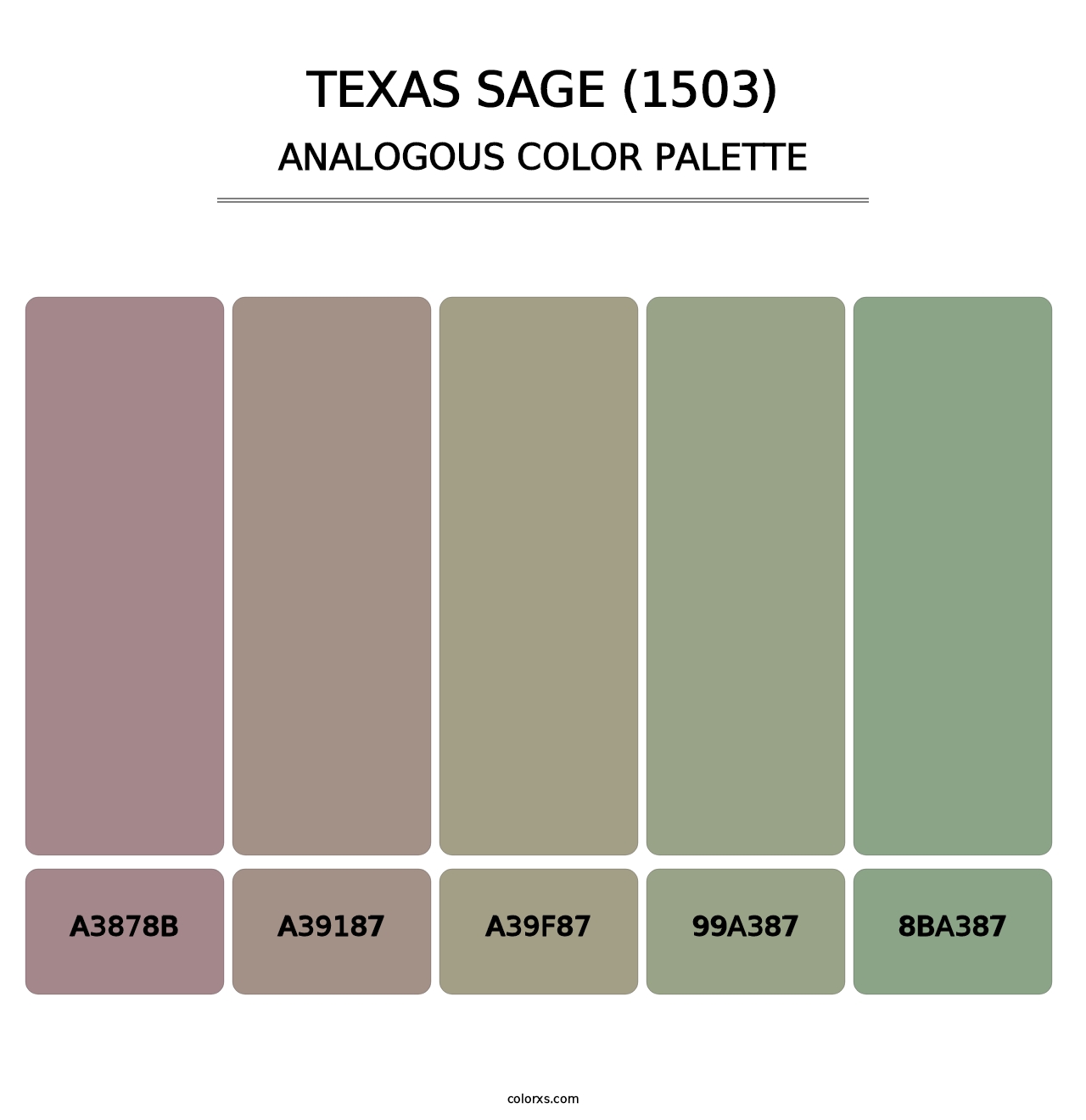 Texas Sage (1503) - Analogous Color Palette