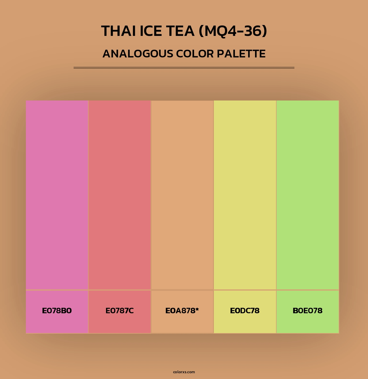 Thai Ice Tea (MQ4-36) - Analogous Color Palette