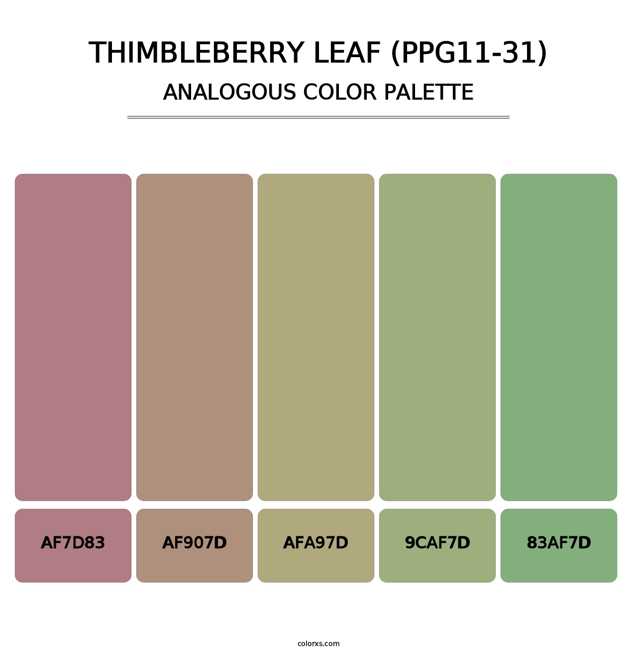 Thimbleberry Leaf (PPG11-31) - Analogous Color Palette